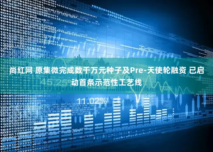 尚红网 原集微完成数千万元种子及Pre-天使轮融资 已启动首条示范性工艺线