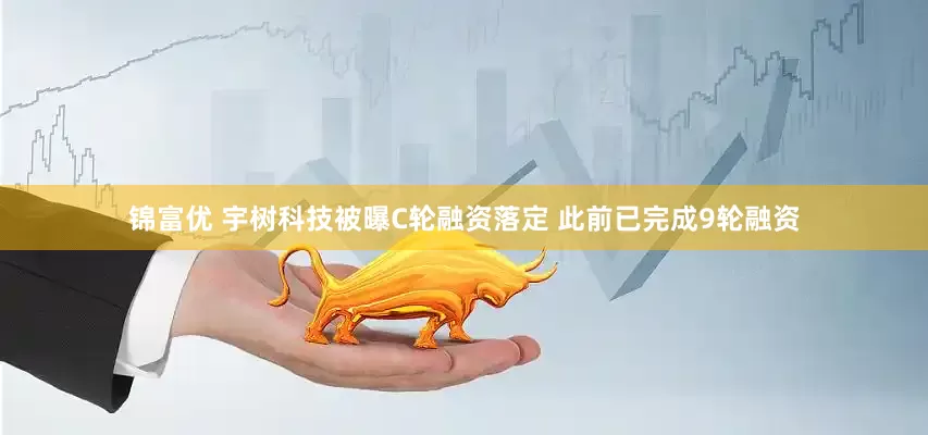 锦富优 宇树科技被曝C轮融资落定 此前已完成9轮融资
