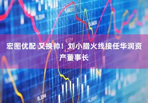 宏图优配 又换帅！刘小腊火线接任华润资产董事长