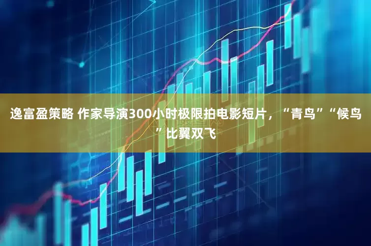 逸富盈策略 作家导演300小时极限拍电影短片，“青鸟”“候鸟”比翼双飞