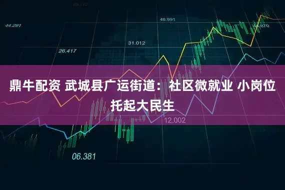 鼎牛配资 武城县广运街道：社区微就业 小岗位托起大民生