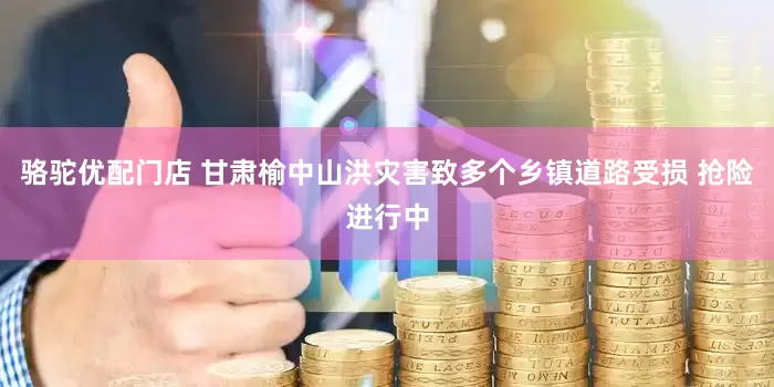 骆驼优配门店 甘肃榆中山洪灾害致多个乡镇道路受损 抢险进行中