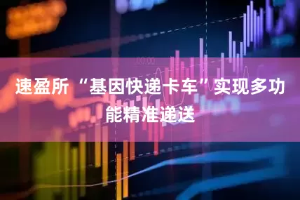 速盈所 “基因快递卡车”实现多功能精准递送