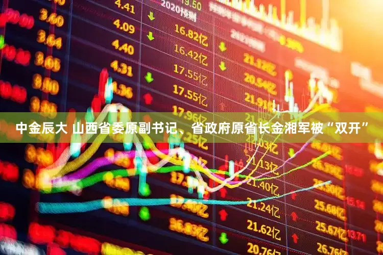 中金辰大 山西省委原副书记、省政府原省长金湘军被“双开”