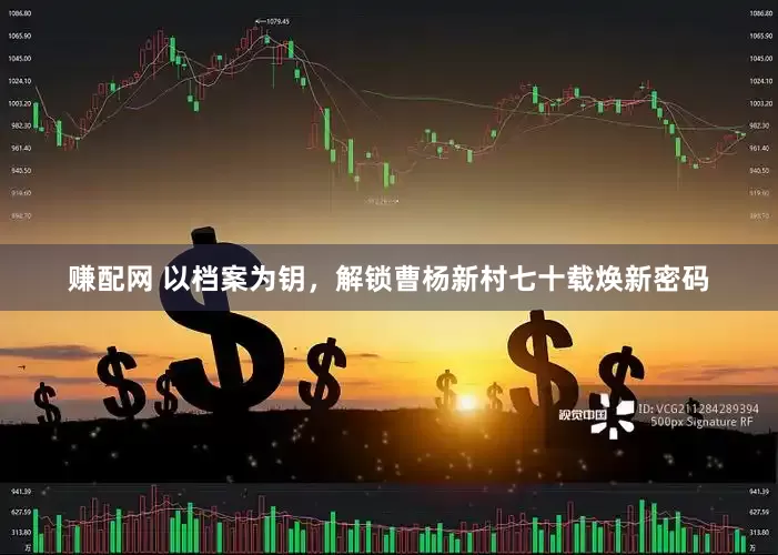 赚配网 以档案为钥，解锁曹杨新村七十载焕新密码