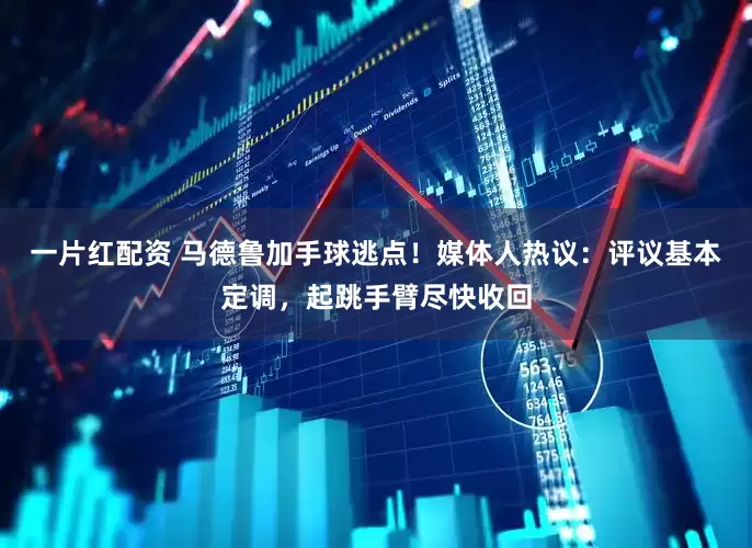 一片红配资 马德鲁加手球逃点！媒体人热议：评议基本定调，起跳手臂尽快收回